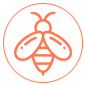 Insect Sting Allergy